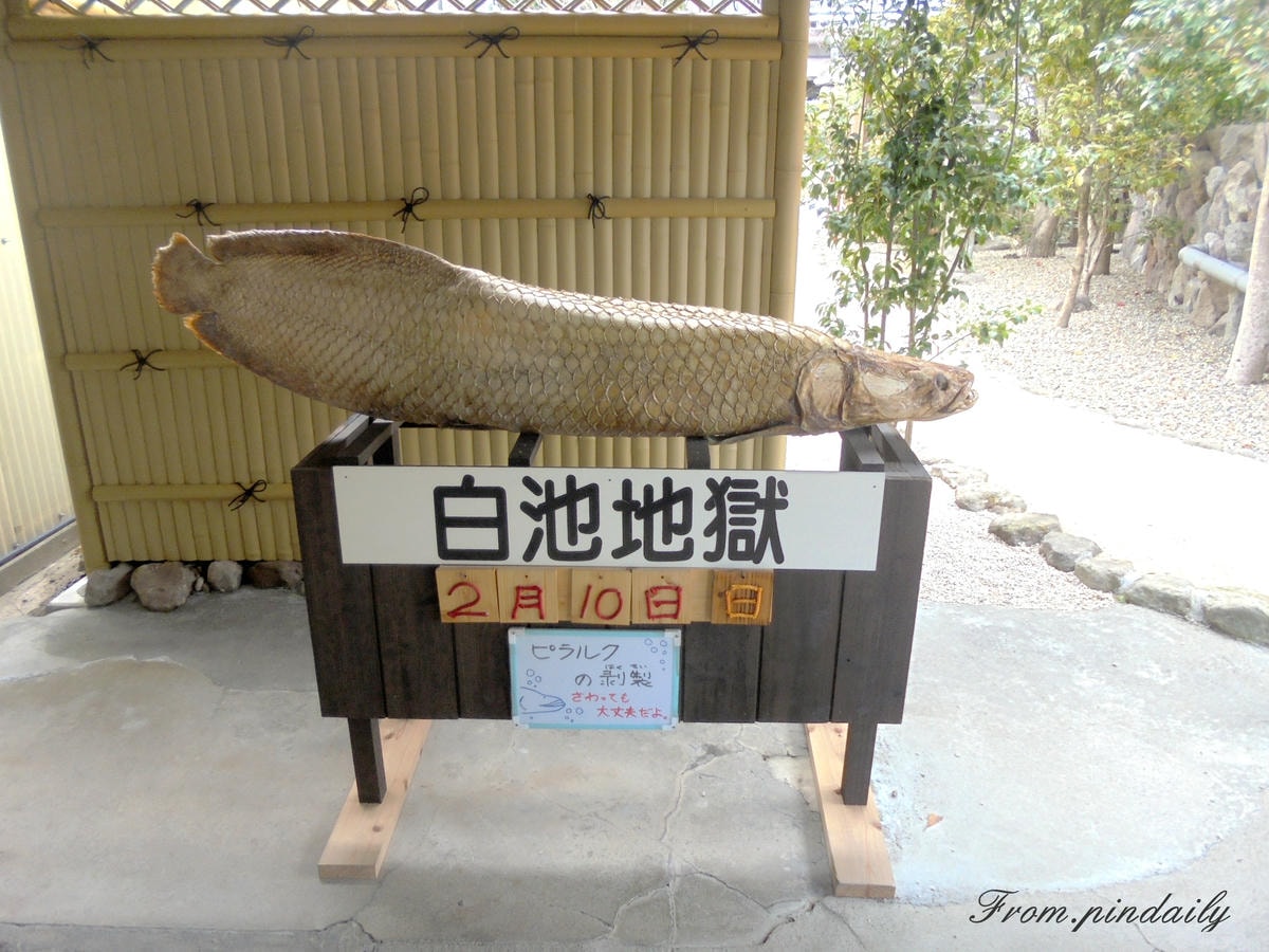 白池-3(浮水印).jpg