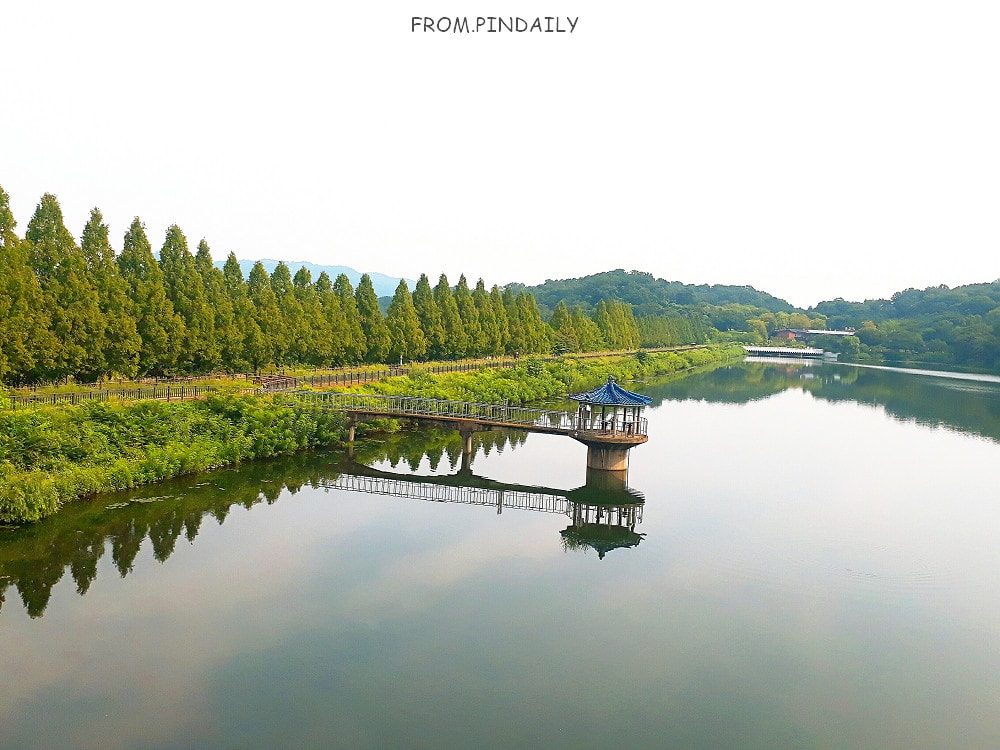 首爾大公園-13.jpg