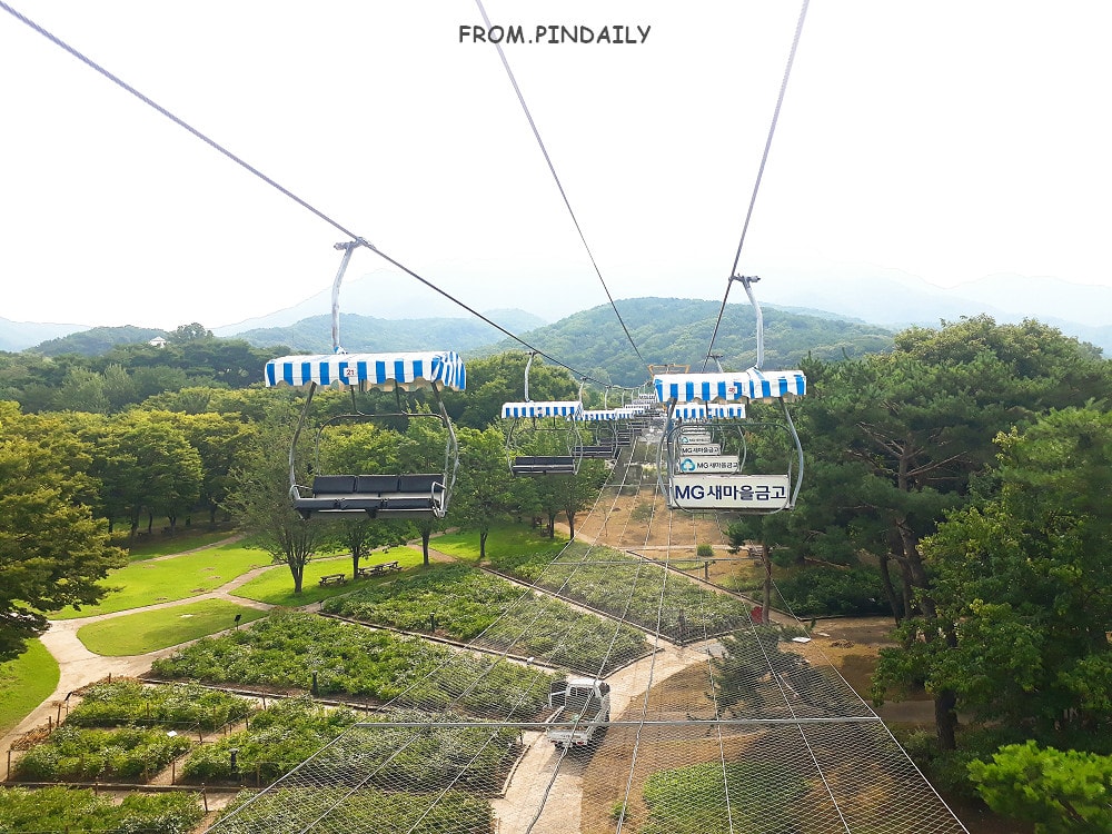 首爾大公園-11.jpg