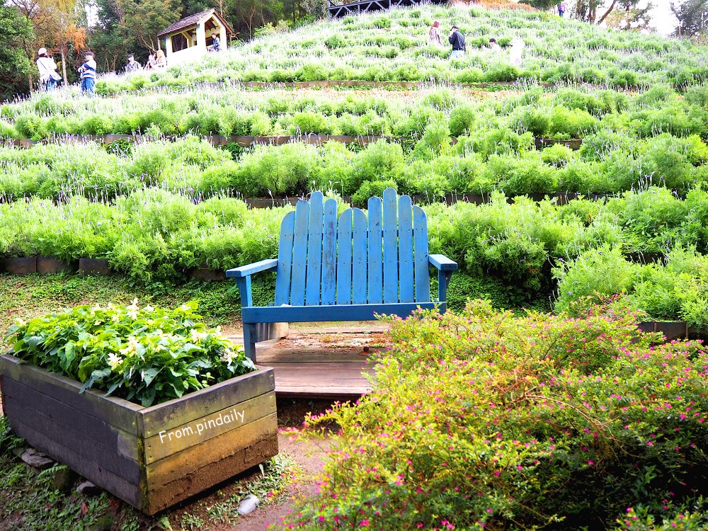 薰衣草森林-23.jpg 薰衣草森林-23.jpg