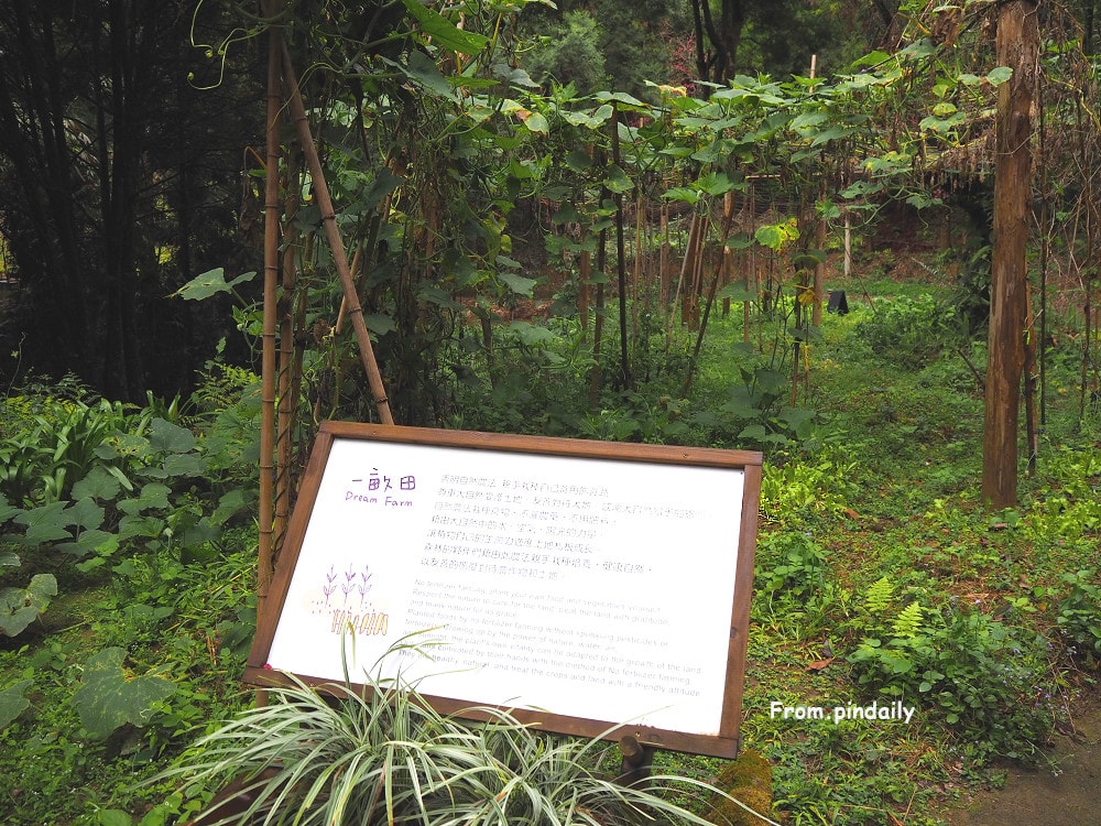 薰衣草森林-38.jpg 薰衣草森林-38.jpg