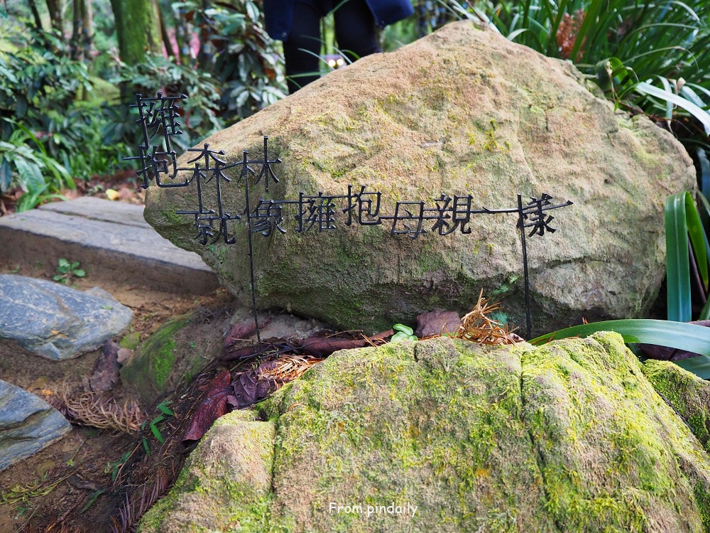 薰衣草森林-34.jpg 薰衣草森林-34.jpg