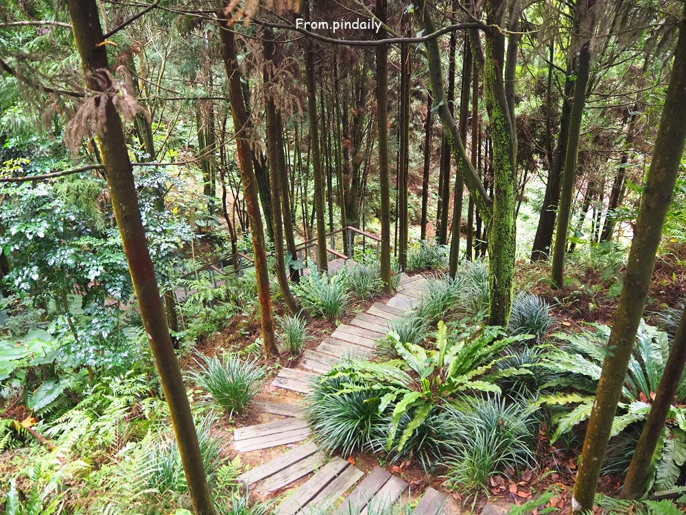 薰衣草森林-35.jpg 薰衣草森林-35.jpg