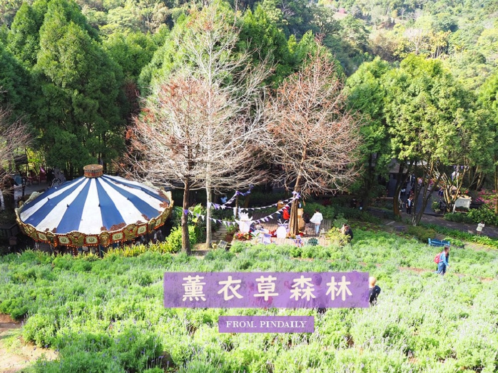 薰衣草森林-cover1.jpg 薰衣草森林-cover1.jpg