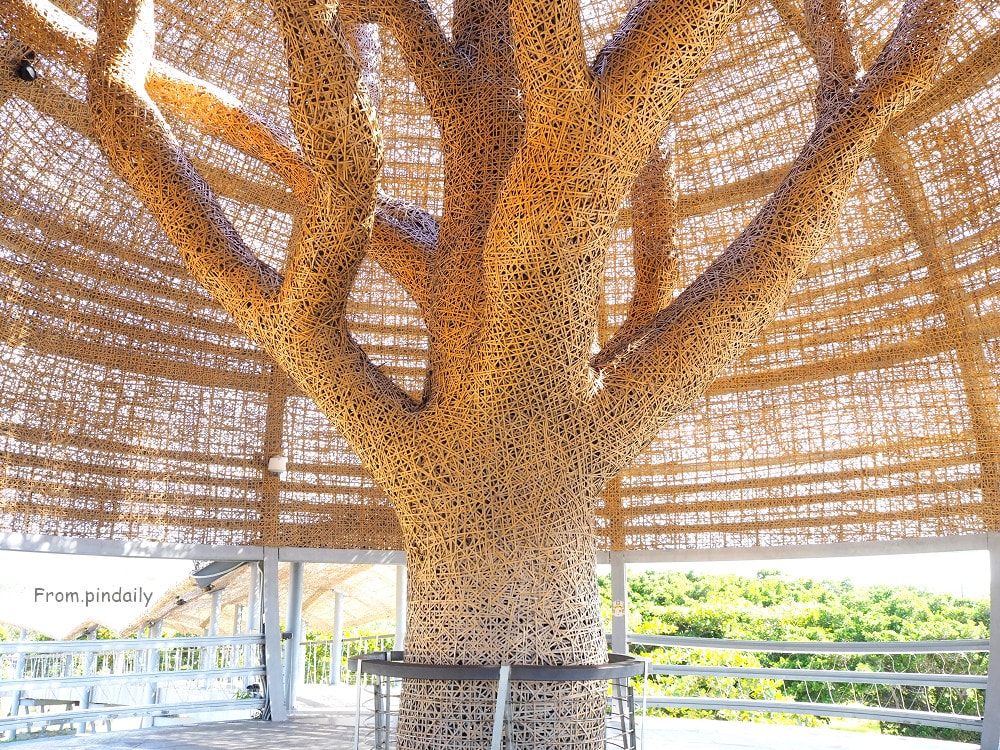 台東海濱公園-7(2).jpg 台東海濱公園-7(2).jpg