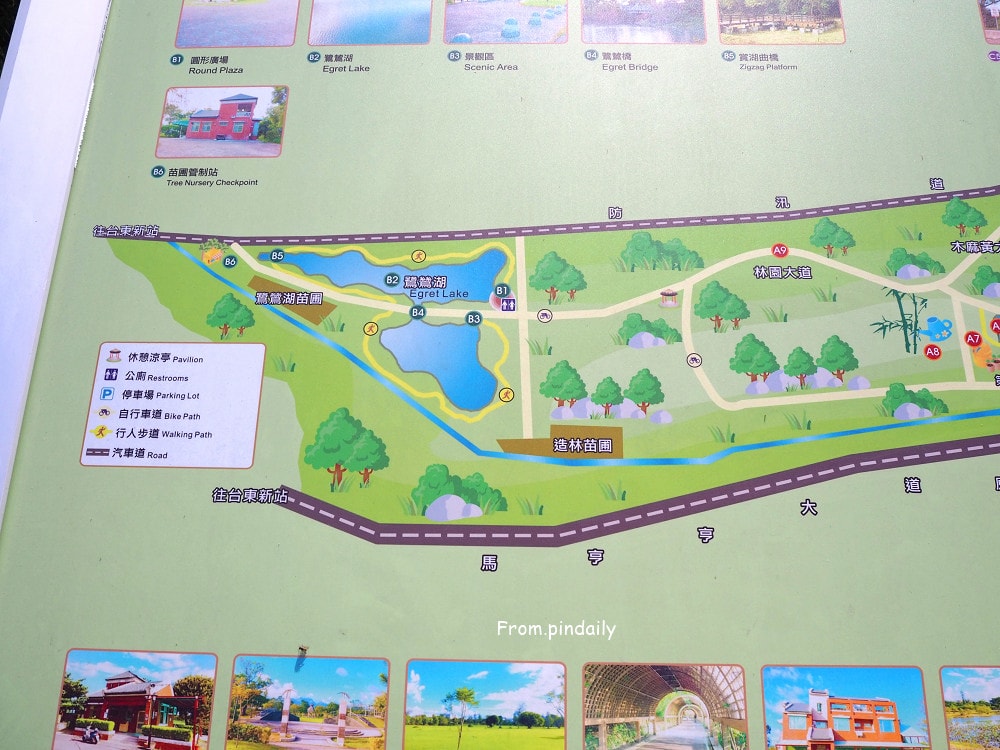 台東森林公園-7(2).jpg 台東森林公園-7(2).jpg