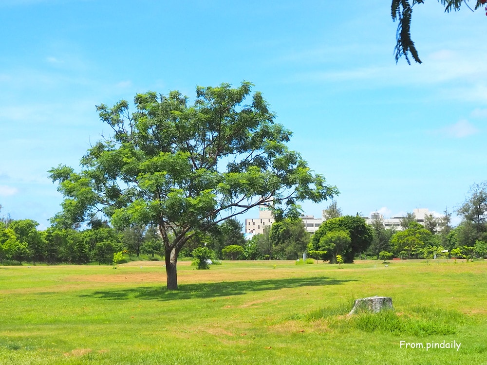 台東森林公園-21(2).jpg 台東森林公園-21(2).jpg