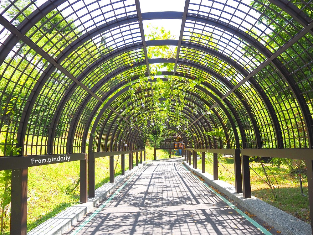 台東森林公園-20(2).jpg 台東森林公園-20(2).jpg