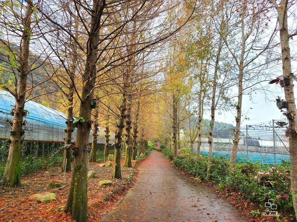 台一愛情果園-7(2).jpg 台一愛情果園-7(2).jpg