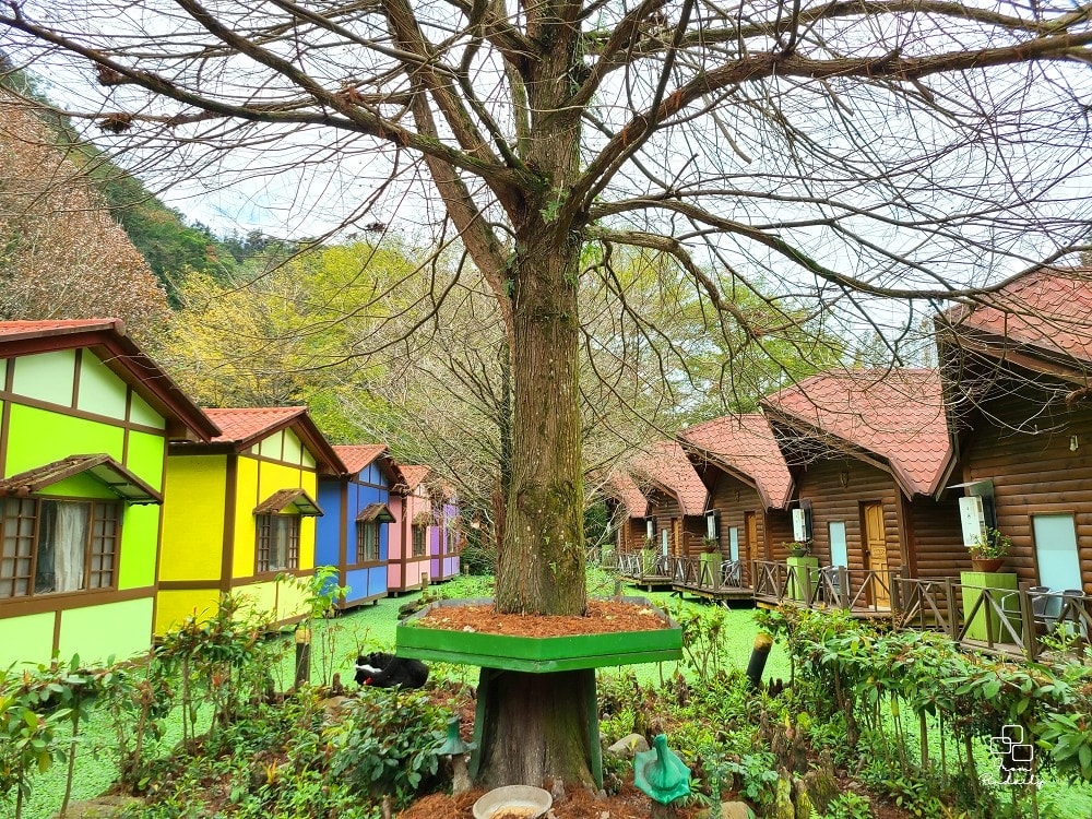 台一水上餐廳-3(2).jpg 台一水上餐廳-3(2).jpg