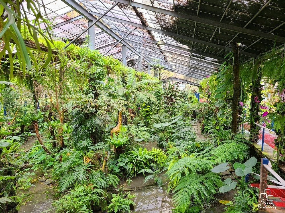 台一雨林風情館-1(2).jpg 台一雨林風情館-1(2).jpg