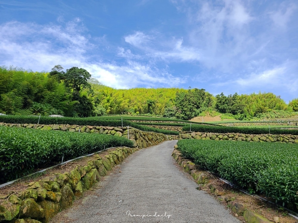 destinedteahouse-40.jpg destinedteahouse-40.jpg