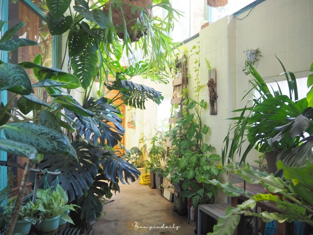 【彰化美食】松柏軒景觀餐廳・彰化永靖餐廳推薦 / 位於成美文化園旁提供精緻個人套餐，並擁有日式松柏庭園造景的餐廳
