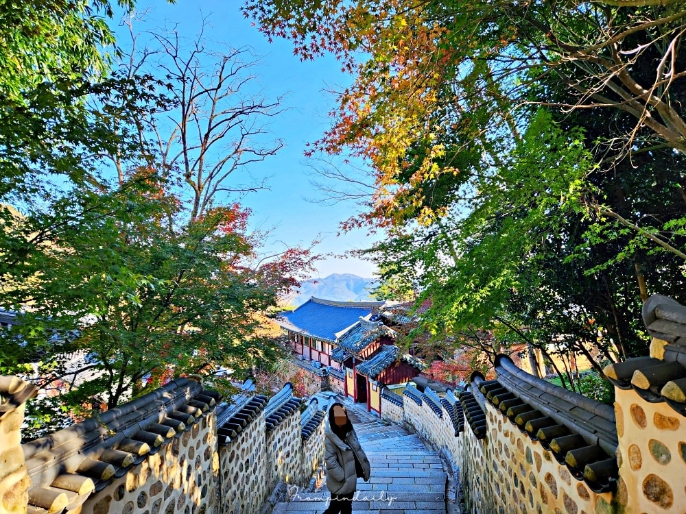 梵魚寺 梵魚寺