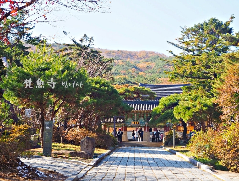 梵魚寺 梵魚寺