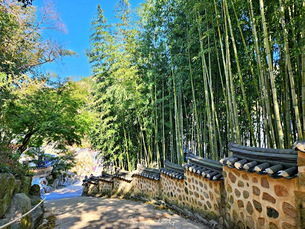 梵魚寺 梵魚寺