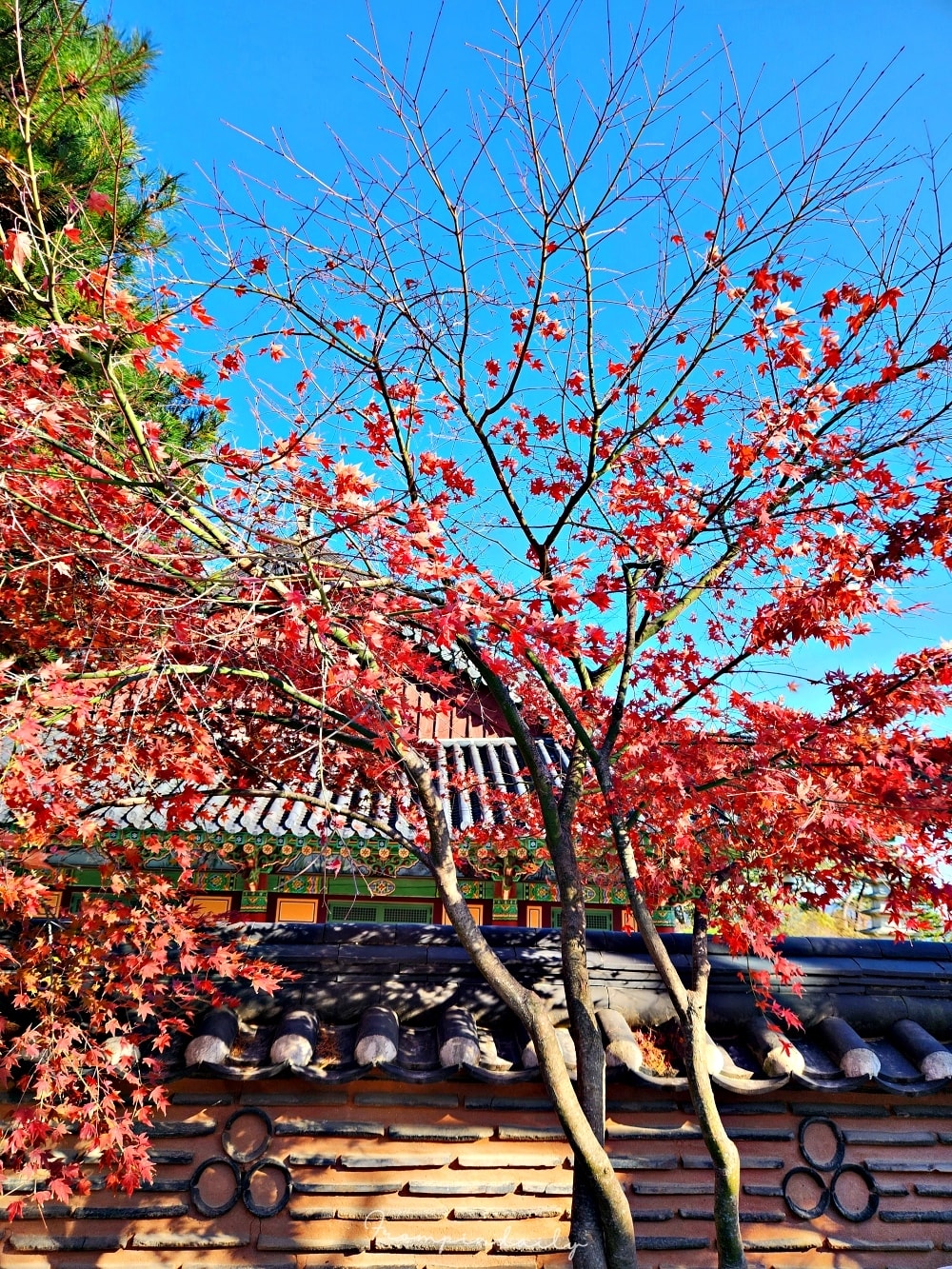 梵魚寺 梵魚寺