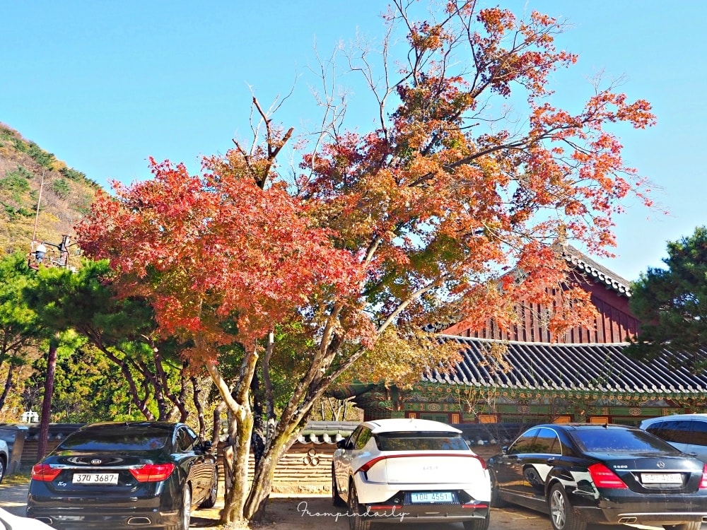 梵魚寺 梵魚寺