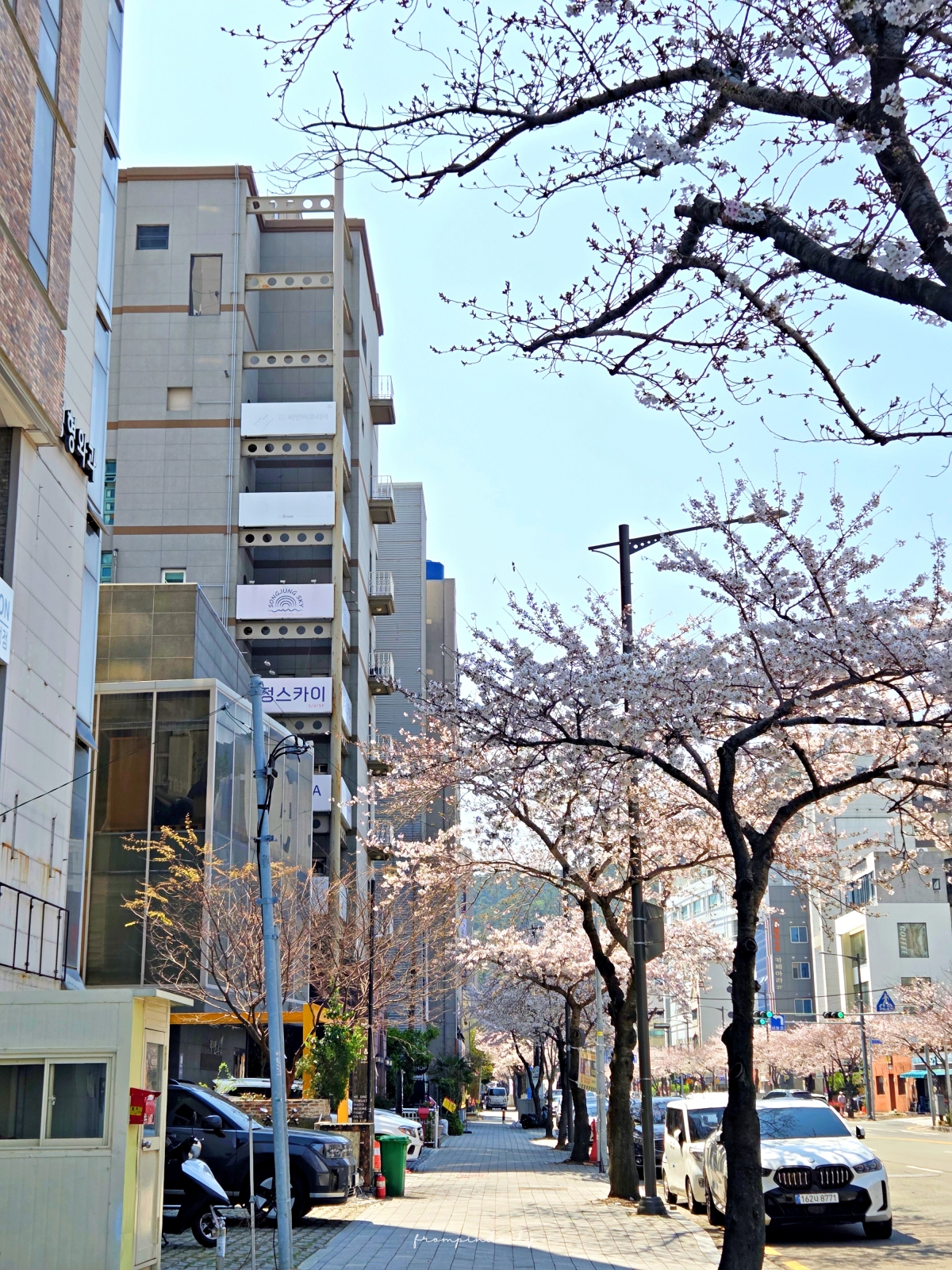 【釜山美食】多鍋美食店 本店 다솥맛집 본점 / 邊欣賞松亭海景,邊享用高人氣石鍋飯 - 第2張圖 【釜山美食】多鍋美食店 本店 다솥맛집 본점 / 邊欣賞松亭海景,邊享用高人氣石鍋飯