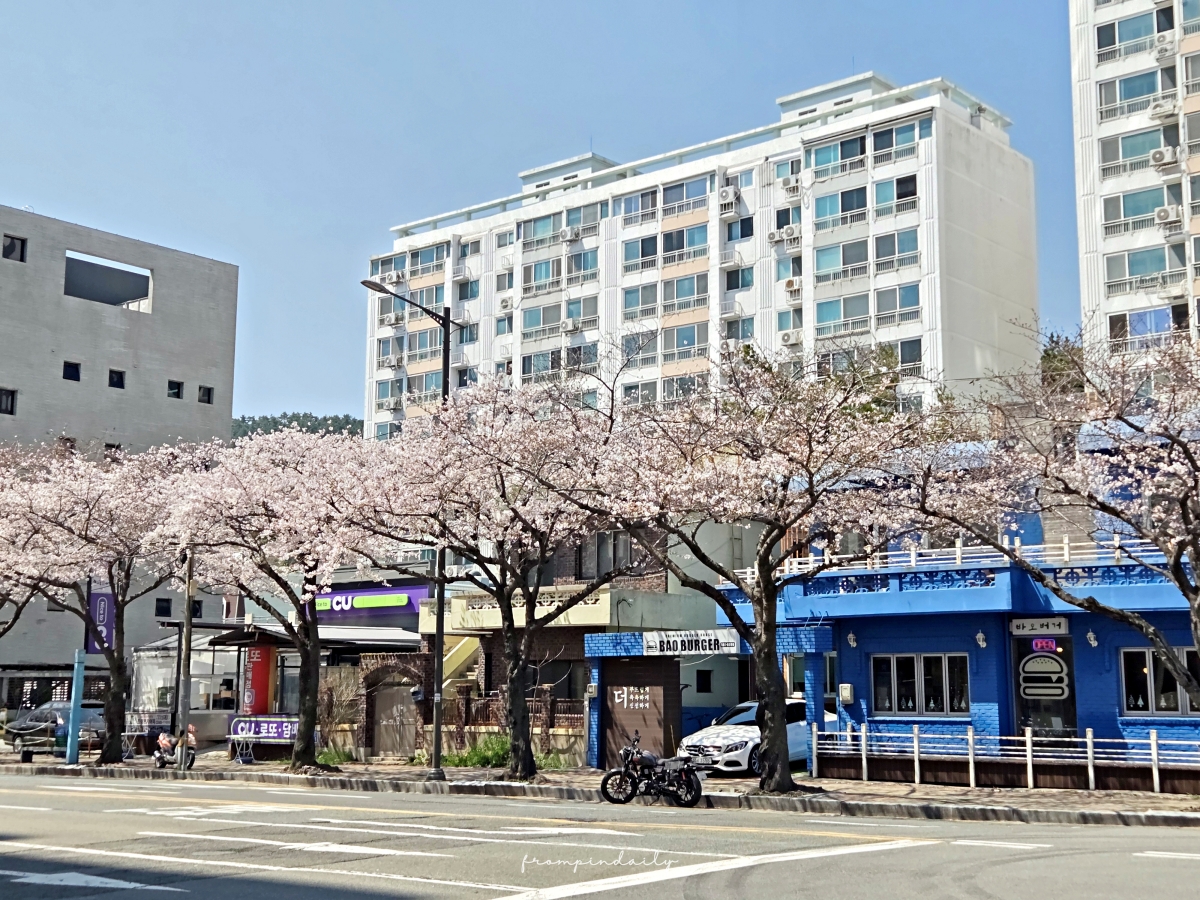 【釜山美食】多鍋美食店 本店 다솥맛집 본점 / 邊欣賞松亭海景,邊享用高人氣石鍋飯 - 第3張圖 【釜山美食】多鍋美食店 本店 다솥맛집 본점 / 邊欣賞松亭海景,邊享用高人氣石鍋飯