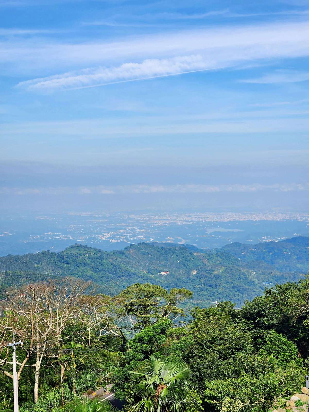 【嘉義住宿】夢蝶民宿・嘉義阿里山住宿推薦 / 坐擁龍頭山景致、夕陽及嘉義市夜景,欣賞海拔1200m的清水模建築民宿 - 第35張圖 【嘉義住宿】夢蝶民宿・嘉義阿里山住宿推薦 / 坐擁龍頭山景致、夕陽及嘉義市夜景,欣賞海拔1200m的清水模建築民宿